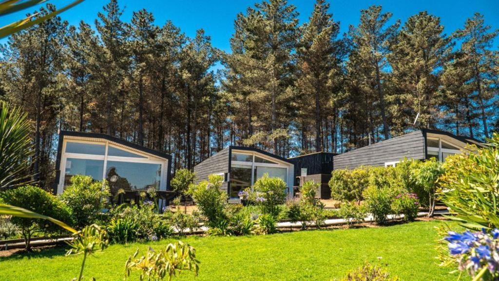 Curi Lodge Pichilemu Eksteriør bilde