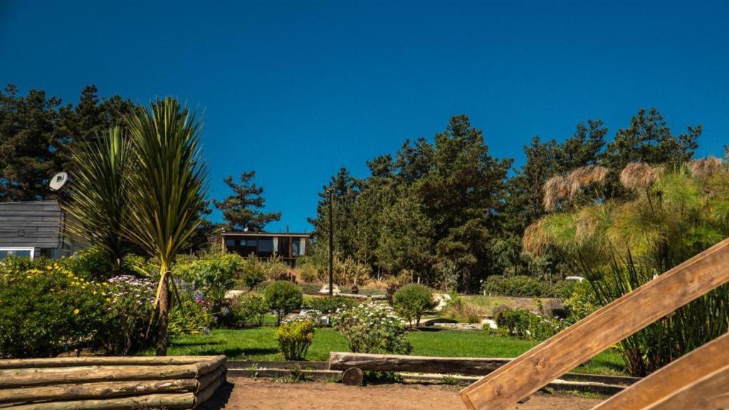 Curi Lodge Pichilemu Eksteriør bilde